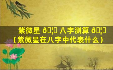 紫微星 🦅 八字测算 🦆 （紫微星在八字中代表什么）